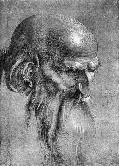 Head of an Apostle Looking Downward Albrecht Durer